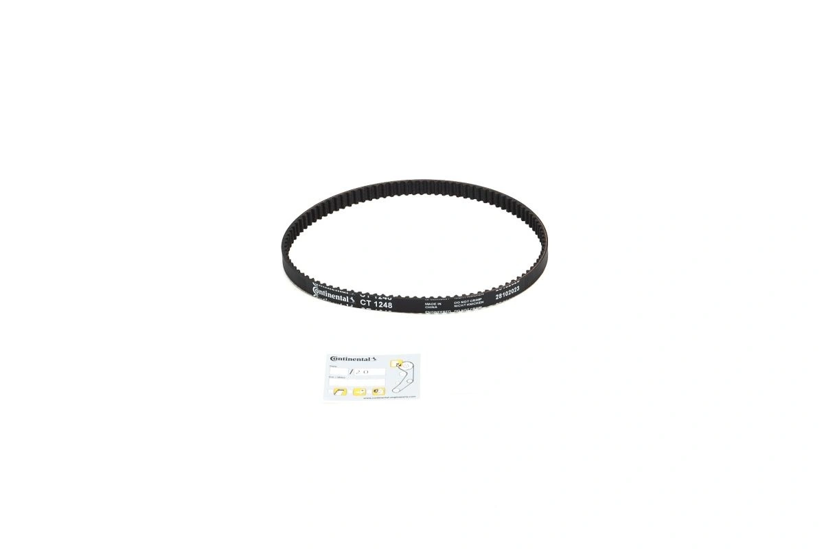 Timing Belt